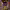 https://res.cloudinary.com/billionhands/image/upload/v1781304675/items/cqncdifsut1djmwakmkk.jpg-1cover