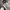 https://res.cloudinary.com/billionhands/image/upload/v1781304742/items/j8m8rjvdnvrd56xh4jz1.jpg-3cover