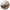 https://res.cloudinary.com/billionhands/image/upload/v1781305642/items/x4mvrq7opuwqca52gul1.webp-2cover