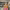 https://res.cloudinary.com/billionhands/image/upload/v1781306317/items/bjwxqzul5jecty1eqclz.webp-3cover