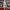 https://res.cloudinary.com/billionhands/image/upload/v1781306759/items/g7po9qb3mbinpc6alrtd.jpg-3cover