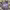 https://res.cloudinary.com/billionhands/image/upload/v1781307552/items/nskahscm8lxpbdwdwo92.webp-2cover