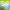 https://res.cloudinary.com/billionhands/image/upload/v1781310372/items/pw5vwvqqj2suzu33lk0w.jpg-1cover