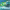 https://res.cloudinary.com/billionhands/image/upload/v1781310378/items/pqkwmnbudw4wq1xdbnhs.webp-3cover