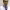 https://res.cloudinary.com/billionhands/image/upload/v1781313220/items/dfcikv3rtora0krtysk5.jpg-2cover