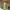 https://res.cloudinary.com/billionhands/image/upload/v1781315229/items/plpxce85yjzps7m8i3xs.avif-3cover