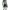 https://res.cloudinary.com/billionhands/image/upload/v1781317178/items/t8btnc6md13mvlp5aeq5.jpg-3cover
