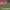 https://res.cloudinary.com/billionhands/image/upload/v1781317854/items/ofjs5edjsr1ixoswjotx.avif-1cover
