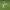 https://res.cloudinary.com/billionhands/image/upload/v1781317859/items/ymsj9y2znxat50yrd2ei.jpg-1cover