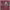 https://res.cloudinary.com/billionhands/image/upload/v1781317953/items/oqax2gainsd7mr2zn6tb.jpg-2cover