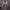 https://res.cloudinary.com/billionhands/image/upload/v1781318298/items/zy0pcfry5m6wznalminz.jpg-2cover