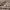 https://res.cloudinary.com/billionhands/image/upload/v1781318303/items/ppzj8coeplbnfyzftc70.webp-0cover