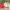 https://res.cloudinary.com/billionhands/image/upload/v1781318712/items/rgicjr3wloq6wtbaxdk1.jpg-2cover