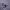 https://res.cloudinary.com/billionhands/image/upload/v1781318817/items/kn1ipnseqelogdxqd8ts.jpg-3cover