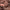 https://res.cloudinary.com/billionhands/image/upload/v1781319607/items/cy2tgslgywtl1brx4ptn.jpg-3cover
