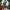 https://res.cloudinary.com/billionhands/image/upload/v1781320616/items/nops94shyweghj9aceos.webp-2cover