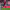 https://res.cloudinary.com/billionhands/image/upload/v1781321911/items/dcnxtevmxeblqnnqyxdc.jpg-0cover