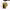 https://res.cloudinary.com/billionhands/image/upload/v1781321976/items/dpcd1uixrqj2j0wft7ni.jpg-2cover