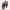 https://res.cloudinary.com/billionhands/image/upload/v1781321981/items/zosqrpsaww1acwociwqh.webp-3cover