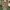 https://res.cloudinary.com/billionhands/image/upload/v1781322264/items/f878k3tgebgbwpfdoxrn.webp-1cover