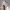 https://res.cloudinary.com/billionhands/image/upload/v1781323069/items/erbhggnpfnuijkxodeu4.jpg-0cover