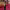 https://res.cloudinary.com/billionhands/image/upload/v1781323984/items/ht1eyce07mzvlckywrwj.avif-0cover