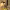 https://res.cloudinary.com/billionhands/image/upload/v1781324658/items/imcrtym1x5bnytmmvixm.webp-3cover