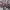 https://res.cloudinary.com/billionhands/image/upload/v1781324675/items/kbkiyr1cpci32rmijaf1.jpg-1cover