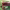 https://res.cloudinary.com/billionhands/image/upload/v1781324676/items/wynbjlklcw9dgxfjmu1v.webp-0cover