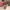 https://res.cloudinary.com/billionhands/image/upload/v1781324684/items/hbs7ysqajwiyseqbo4h8.jpg-3cover