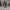 https://res.cloudinary.com/billionhands/image/upload/v1781325889/items/egffrou6mlq6orizn21s.jpg-2cover