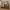 https://res.cloudinary.com/billionhands/image/upload/v1781326932/items/xmo5eecfbbqv9zwojw34.webp-3cover