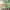 https://res.cloudinary.com/billionhands/image/upload/v1781327089/items/teeiout9yntua25hlgbo.webp-3cover