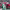 https://res.cloudinary.com/billionhands/image/upload/v1781331408/items/tbthb65owstu2edkuwx8.jpg-0cover