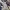https://res.cloudinary.com/billionhands/image/upload/v1781331412/items/j3ksdu9psq4vnmtw0hh3.webp-0cover