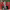 https://res.cloudinary.com/billionhands/image/upload/v1781333075/items/fesbssuq4sxq3nqln0us.jpg-1cover