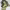 https://res.cloudinary.com/billionhands/image/upload/v1781333138/items/gj9ijysp2jyid59kvbur.jpg-2cover