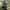 https://res.cloudinary.com/billionhands/image/upload/v1781333209/items/xcypphfdnoylyxndr9uu.webp-1cover