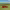 https://res.cloudinary.com/billionhands/image/upload/v1781337139/items/auji8pd6lvryby8jduhk.webp-2cover