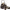 https://res.cloudinary.com/billionhands/image/upload/v1781337147/items/bntls0gpphikqtfcu3nj.webp-2cover