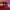 https://res.cloudinary.com/billionhands/image/upload/v1781339127/items/bkkcegcyn2bfmka5msvw.jpg-0cover