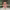 https://res.cloudinary.com/billionhands/image/upload/v1781339517/items/nsqvbfxjyxqjfnujkk0t.jpg-0cover