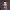 https://res.cloudinary.com/billionhands/image/upload/v1781339520/items/iqpr3um1wbncvub92nti.jpg-3cover