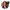 https://res.cloudinary.com/billionhands/image/upload/v1781339521/items/mxmu8myid1wganyhs4gw.png-2cover