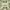 https://res.cloudinary.com/billionhands/image/upload/v1781339782/items/fhandpcq6f4z49xvngxy.jpg-3cover
