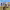 https://res.cloudinary.com/billionhands/image/upload/v1781339985/items/cxxgyxgozzxwk27czx9m.webp-3cover