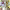 https://res.cloudinary.com/billionhands/image/upload/v1781339986/items/lt5dvb0vustvhmytxukg.webp-2cover
