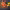 https://res.cloudinary.com/billionhands/image/upload/v1781340913/items/bmftp8x1zh0lxtqekyhg.png-0cover