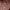 https://res.cloudinary.com/billionhands/image/upload/v1781341805/items/zadgdfvnbdnnbuglsjv9.webp-2cover