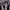 https://res.cloudinary.com/billionhands/image/upload/v1781343563/items/k4gfhlzyirvj41z8lwus.avif-0cover
